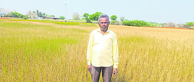 మాకేది పరిహారం?1