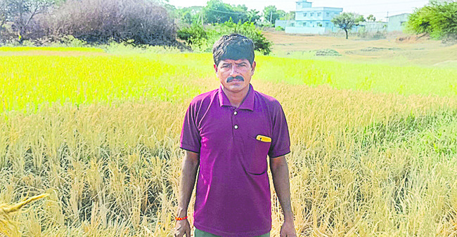 మాకేది పరిహారం?2