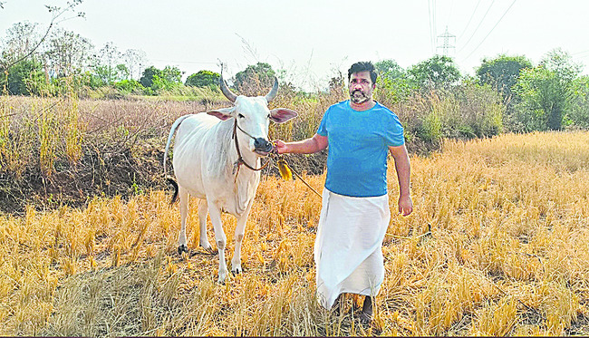 మాకేది పరిహారం?3