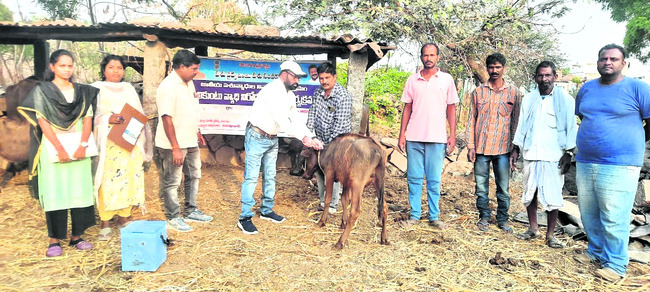 అక్రమ వడ్డీ  వ్యాపారులపై దాడులు
1