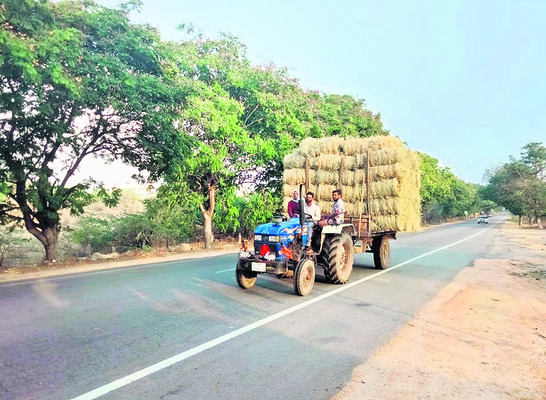 వరి గడ్డి ధర రెట్టింపు1