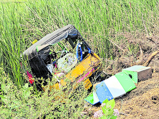 కందిరీగల దాడిలో 15 మందికి గాయాలు 1