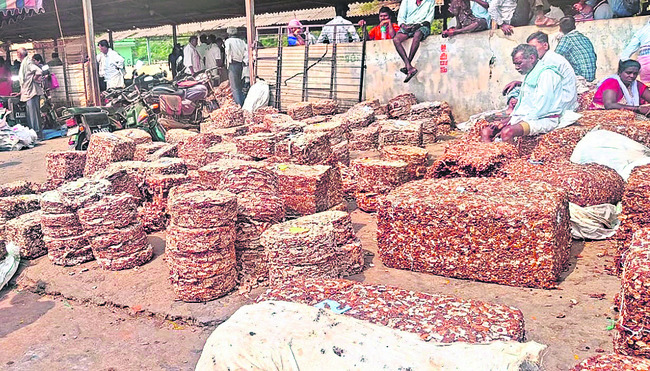 క్వింటా చింతపండు  రూ.20 వేలు 1