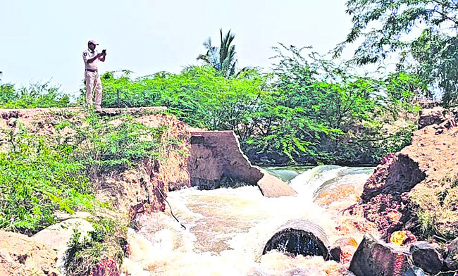 క్వింటా చింతపండు  రూ.20 వేలు 2