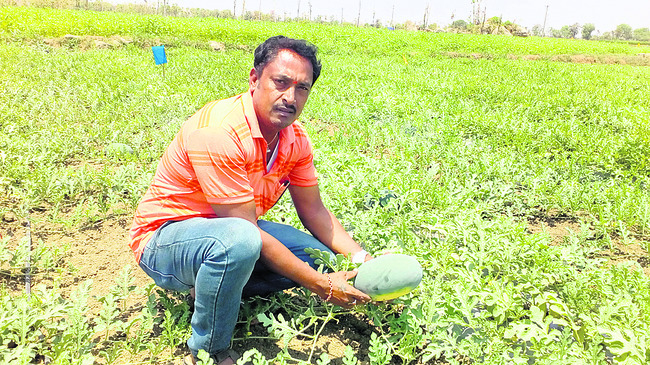 సాగు వివరాలు తెలుసుకుంటూ
1
