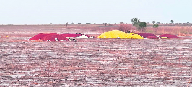 అకాల వర్షం.. అపార నష్టం1
