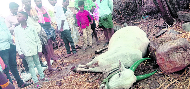 మత్స్య శిక్షణకు  దరఖాస్తుల ఆహ్వానం 1