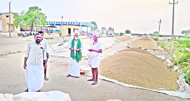 జోరందుకున్న వరి కోతలు2