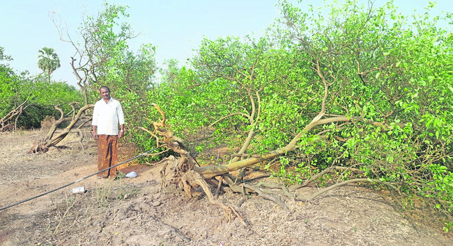ఫ భక్తిశ్రద్ధలతో గుడ్‌ ఫ్రైడే2