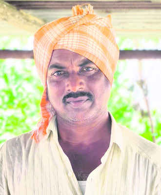 మామిడి చెట్లు కూలిపోయాయి
1