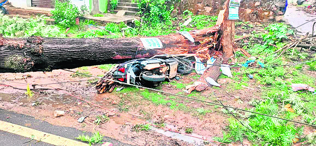 ఈదురుగాలుల బీభత్సం1