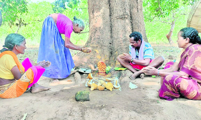 మామిడి పండుగ.. ఉత్సాహంగా..1