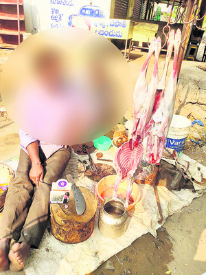 జనావాసాల్లో స్లాటర్‌ హౌస్‌లు1