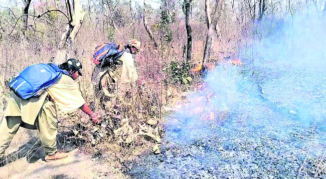 అగ్గి.. అడవి బుగ్గి 1