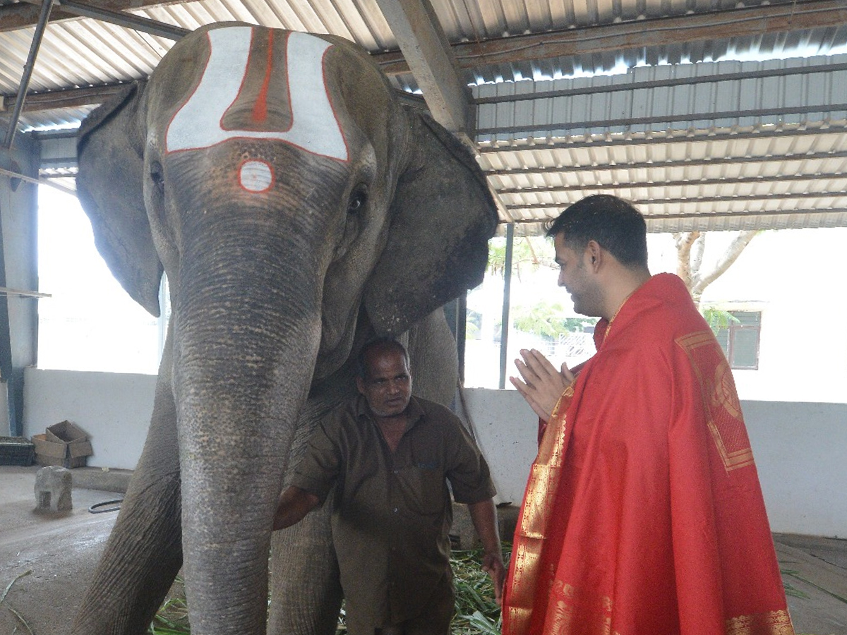 Akash Ambani offered prayers at Tirupati Balaji Temple and visited Goshala in Tirumala Photos8