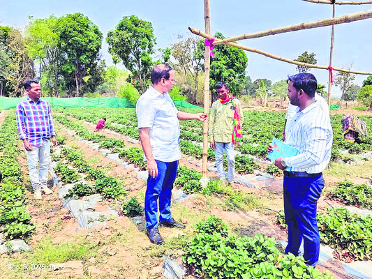 అభివృద్ధి పథకాల అమలుపై ఆరా3