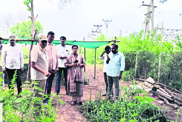 జేఈఈలో తాపీమేసీ్త్ర కుమారుడి ప్రతిభ2