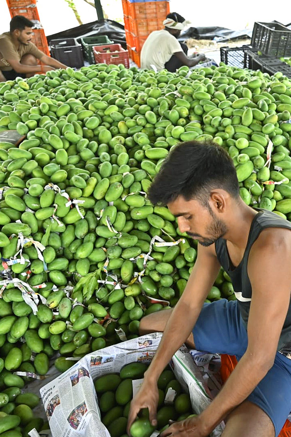 Best Photos of The Week in AP and Telangana Photo Gallery3