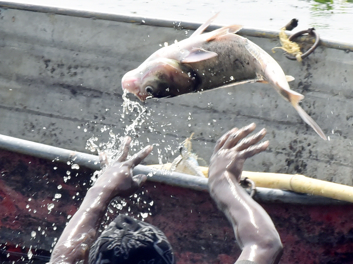 Best Photos of The Week in AP and Telangana Photo Gallery34