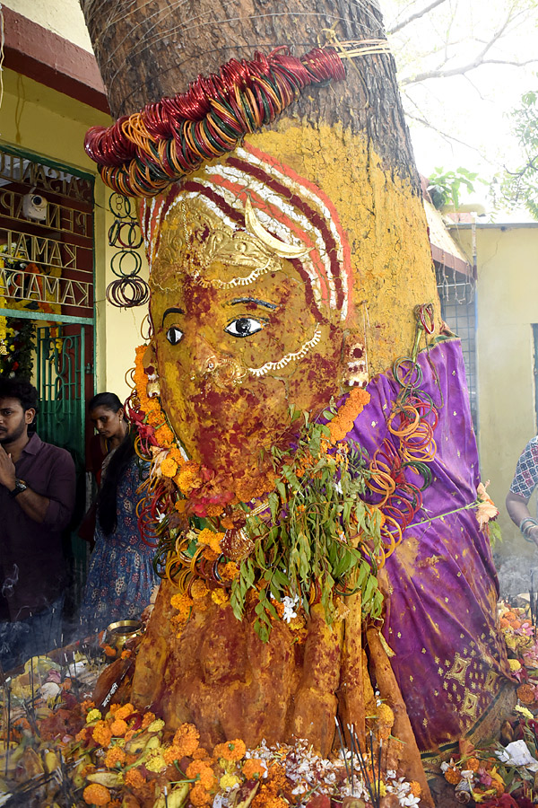 Best Photos of The Week in AP and Telangana Photo Gallery36