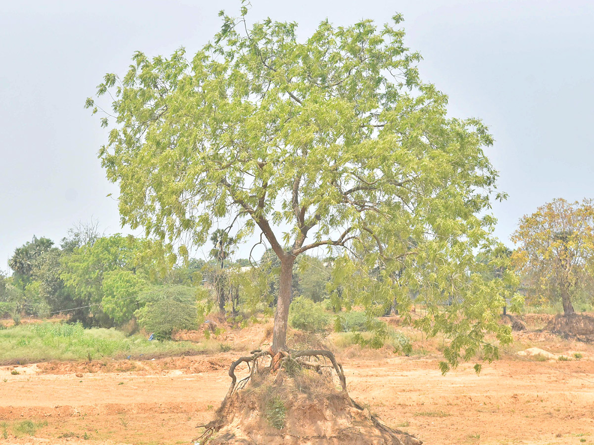 Best Photos of The Week in AP and Telangana Photo Gallery8