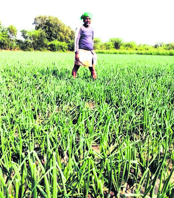 వడగండ్ల బీభత్సం.. పంటలకు నష్టం 1