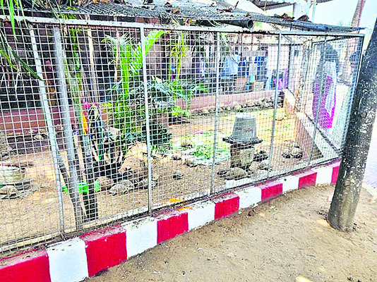 దేవుడి మీద భారంశివాలయ అర్చకుడు ప్రాణాపాయ స్థితిలో ఉన్నా1