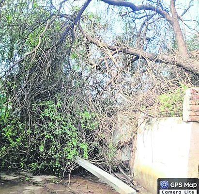 ఈదురు గాలులకు అపార నష్టం2