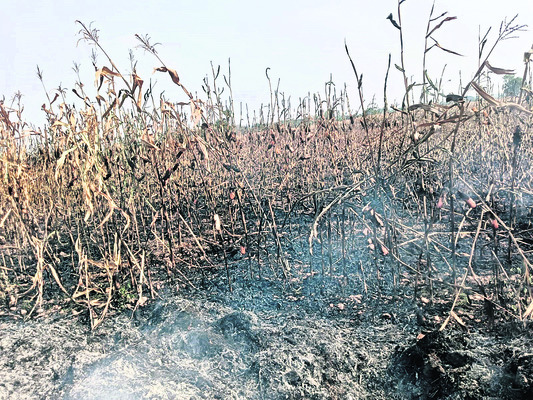 కళాక్షేత్రం అభివృద్ధికి కృషి 1