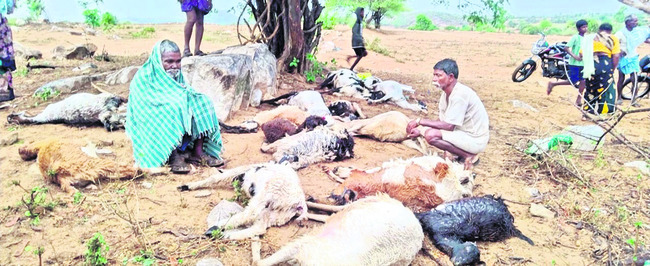 ఈదురుగాలుల బీభత్సం 1