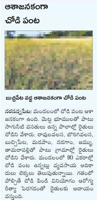 మురుగు పారదు..  దుర్గంధం వదలదు 1