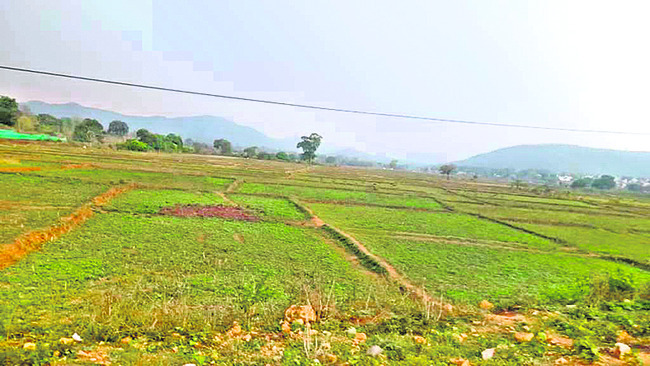 చెక్డ్యాంలకు గ్రహణం1