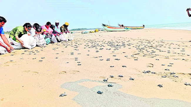ఎమ్మెల్యే అన్న కొడుకు అరాచకం 1