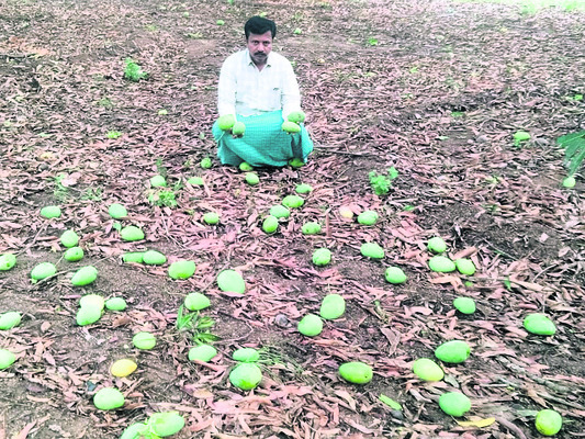 వీడని వర్షం.. తీరని నష్టం 2