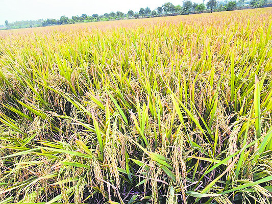 కోతకొచ్చిన కష్టాలు1