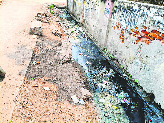 చేబ్రోలులో వ్యాధుల విజృంభణ 1