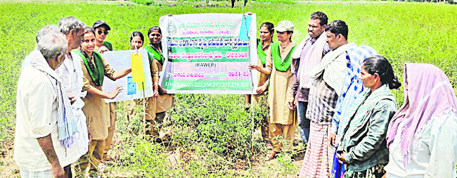 పల్నాడు2