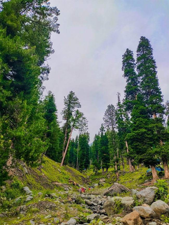 Pahalgam Attack: Tourists Que For Baisaran Valley For These Beautiful Locations Photos10