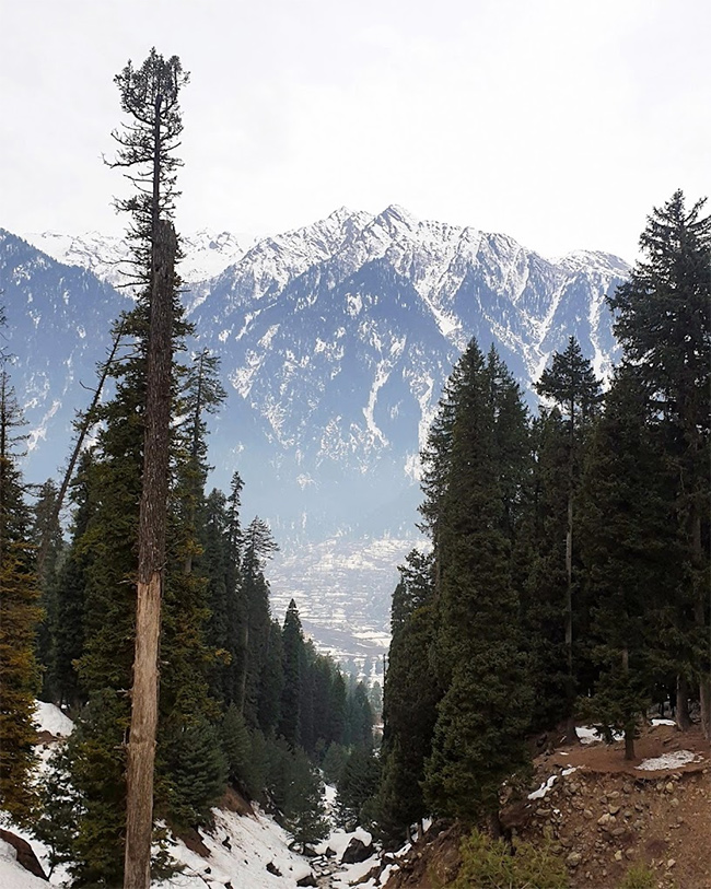 Pahalgam Attack: Tourists Que For Baisaran Valley For These Beautiful Locations Photos14