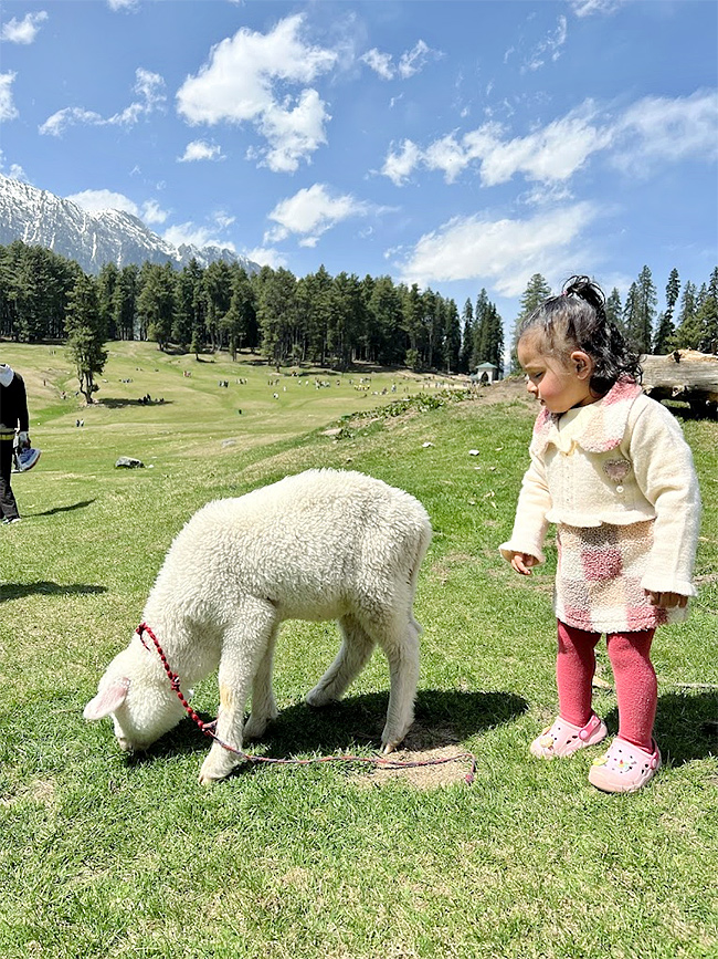Pahalgam Attack: Tourists Que For Baisaran Valley For These Beautiful Locations Photos17