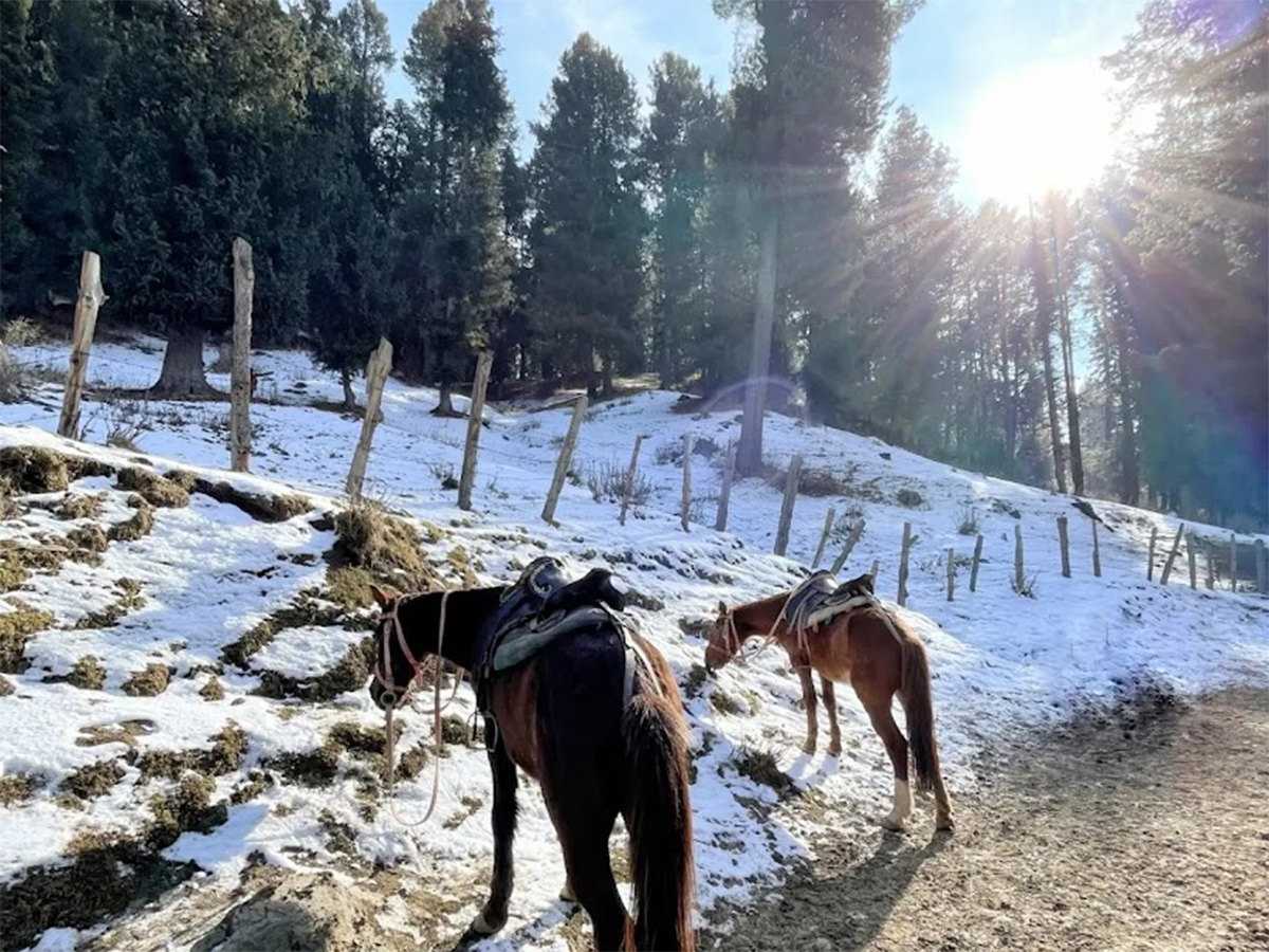 Pahalgam Attack: Tourists Que For Baisaran Valley For These Beautiful Locations Photos20