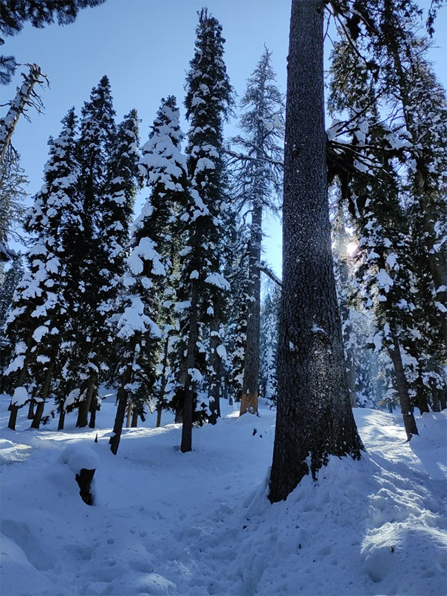 Pahalgam Attack: Tourists Que For Baisaran Valley For These Beautiful Locations Photos21