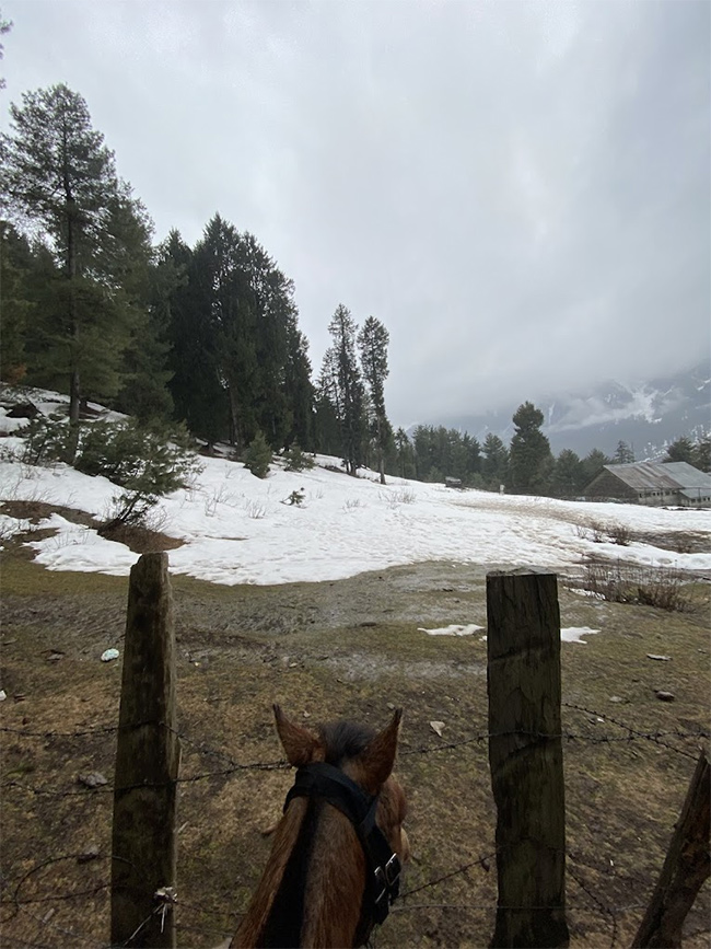 Pahalgam Attack: Tourists Que For Baisaran Valley For These Beautiful Locations Photos22