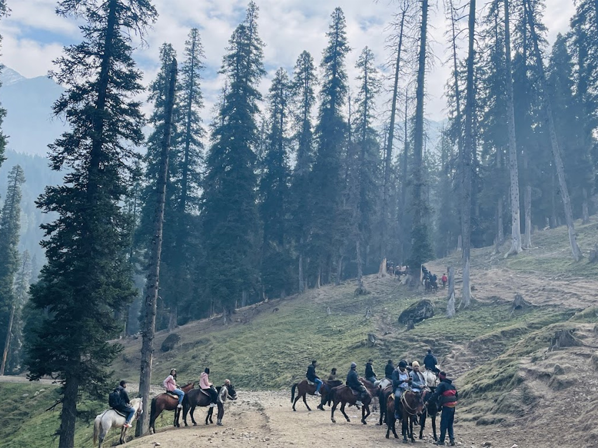 Pahalgam Attack: Tourists Que For Baisaran Valley For These Beautiful Locations Photos26