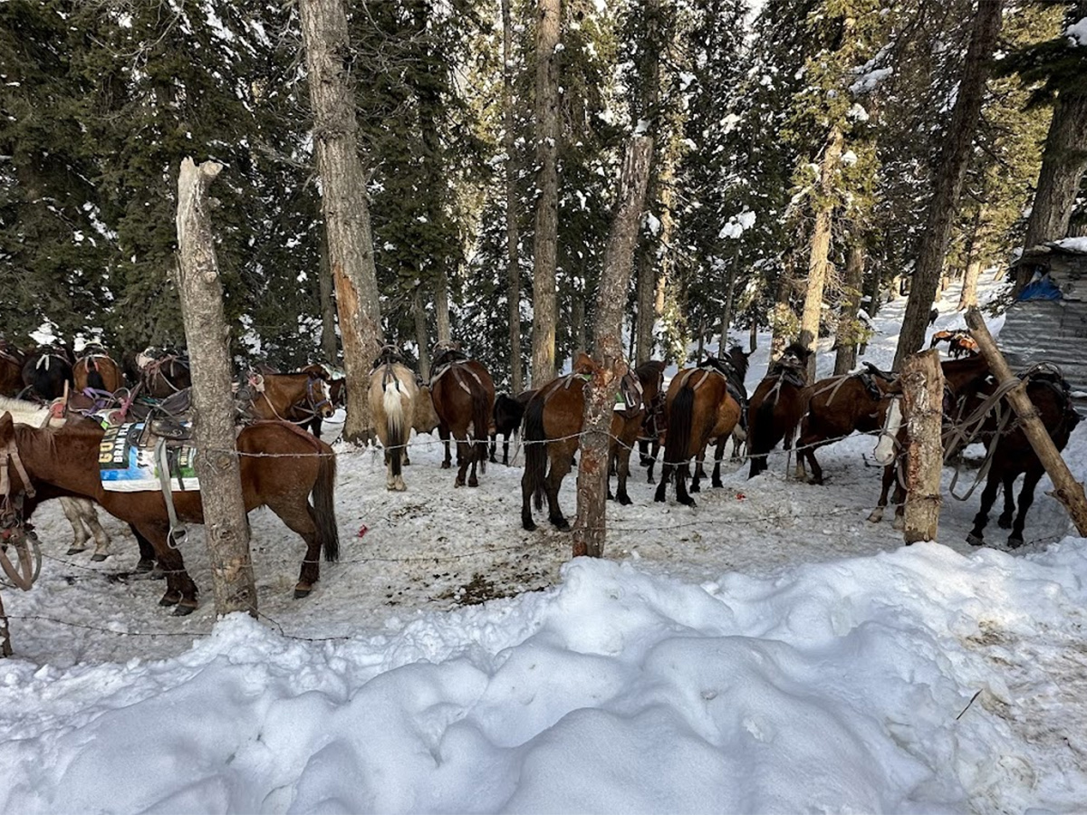 Pahalgam Attack: Tourists Que For Baisaran Valley For These Beautiful Locations Photos29