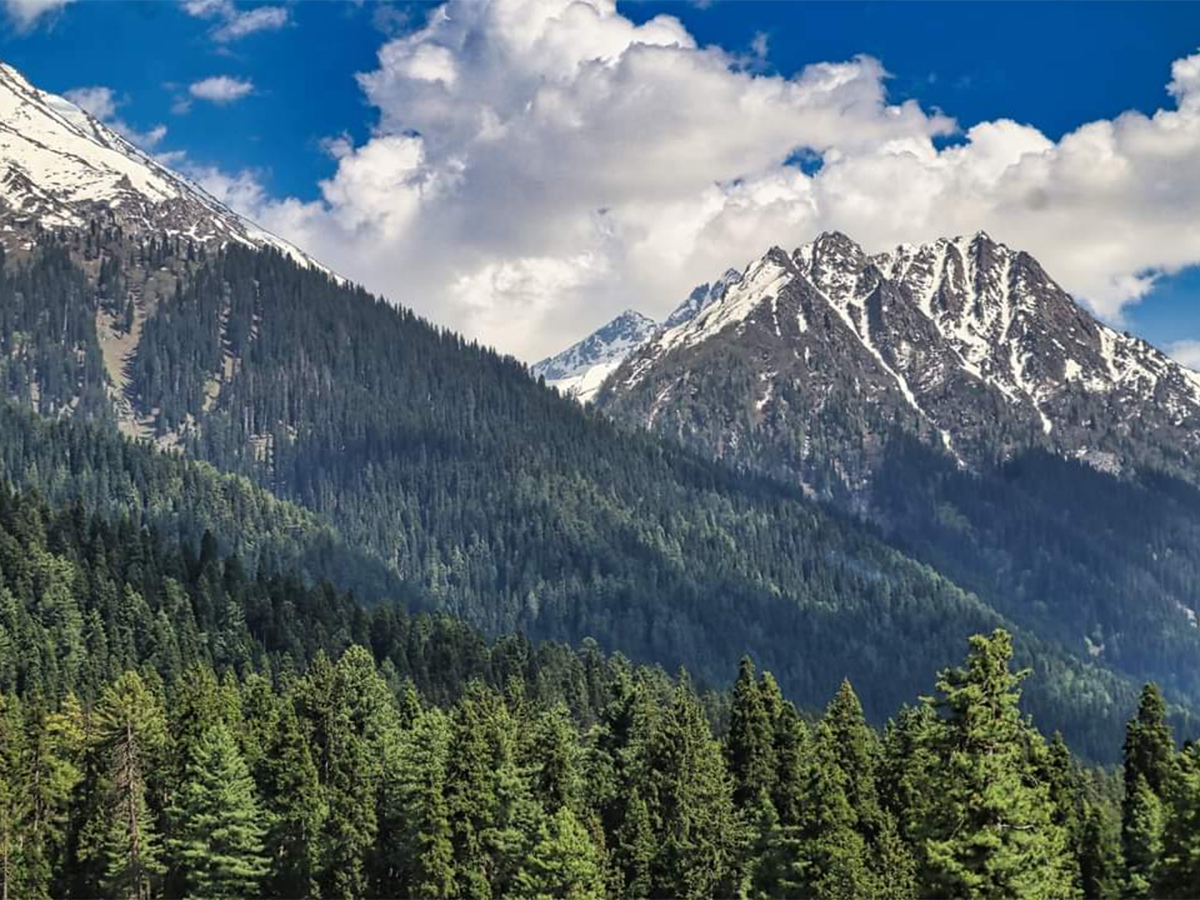 Pahalgam Attack: Tourists Que For Baisaran Valley For These Beautiful Locations Photos4