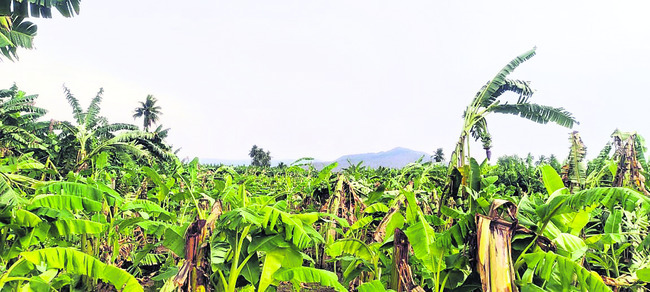 ●గతంలో ఒకలా.... ప్రస్తుతం మరోలా... 1