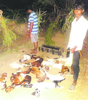 మద్యం వాహనం బోల్తా 2