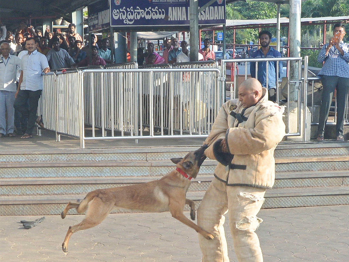 Mock Drill was held At Tirumala Photos8