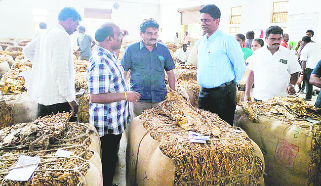 మార్కెట్కి అనుగుణంగా బేళ్లను తీసుకురావాలి 1